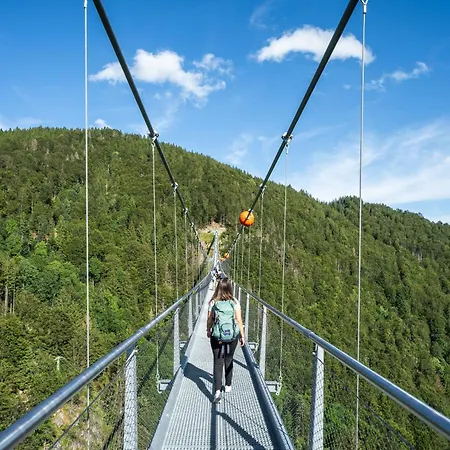 Steinebrunner 아파트 *