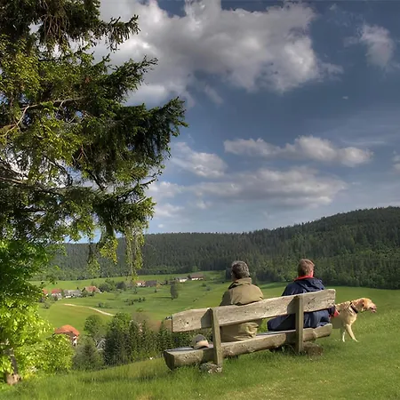 Steinebrunner 아파트 *