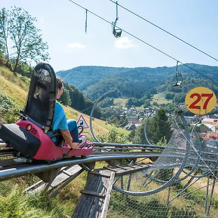 아파트 Steinebrunner *