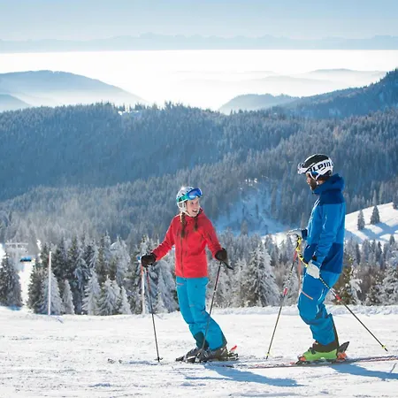 Steinebrunner 토트나우