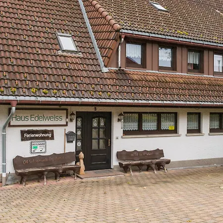 Steinebrunner