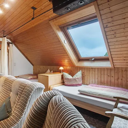 Steinebrunner Appartement Todtnau