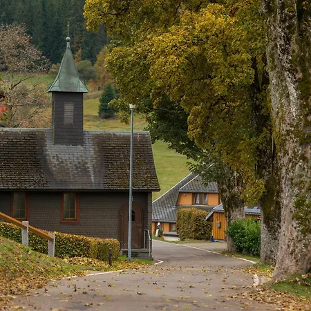 Steinebrunner Todtnau