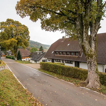 Steinebrunner Appartement