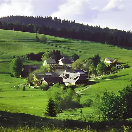 Steinebrunner * Todtnau