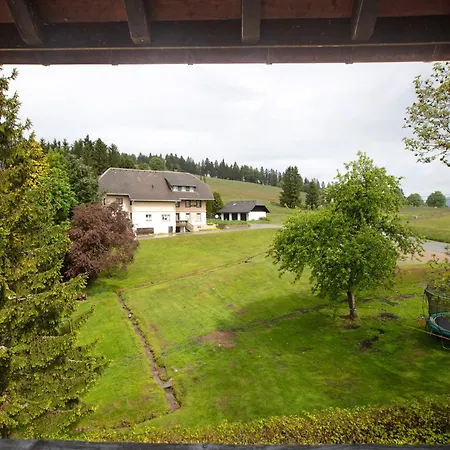 Steinebrunner * Todtnau