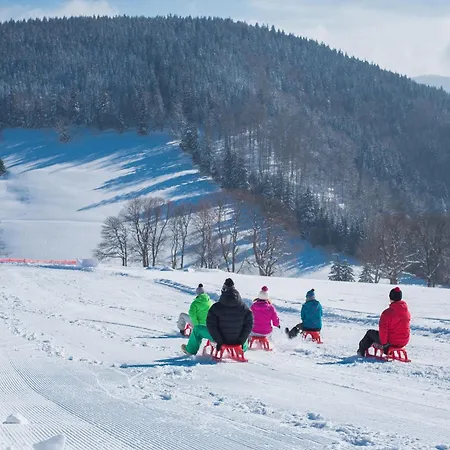 Appartement Steinebrunner Todtnau