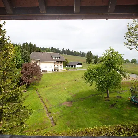Steinebrunner Apartamento Todtnau