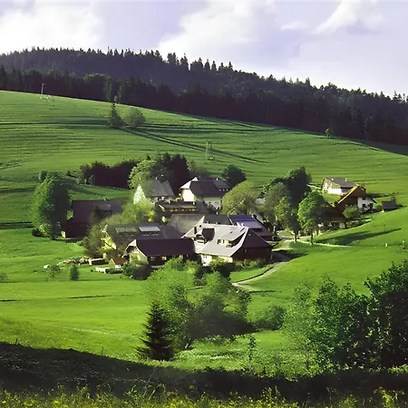 Apartamento Steinebrunner Todtnau